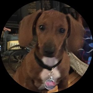 Meet your Posher, Debra